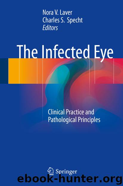 The Infected Eye by Nora V. Laver & Charles S. Specht