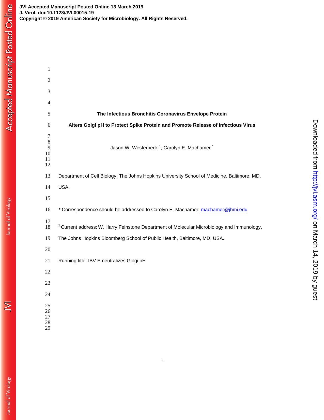 The Infectious Bronchitis Coronavirus Envelope Protein Alters Golgi pH to Protect Spike Protein and Promote Release of Infectious Virus by Unknown