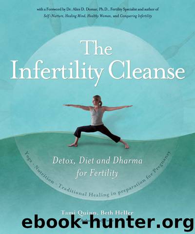 The Infertility Cleanse by Tami Quinn & Beth Heller