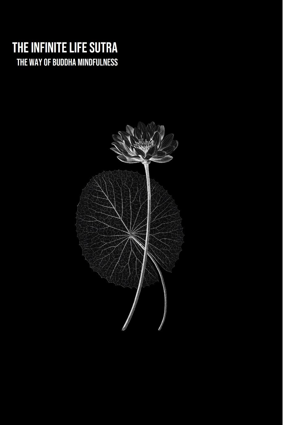 The Infinite Life Sutra: The Way of Buddha Mindfulness by Xia Lianju