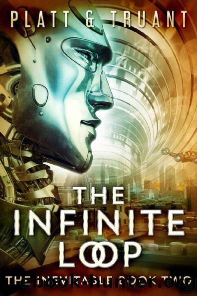 The Infinite Loop (The Inevitable Book 2) by Sean Platt & Johnny B. Truant
