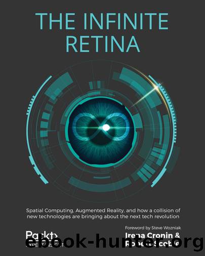 The Infinite Retina by Robert Scoble Irena Cronin