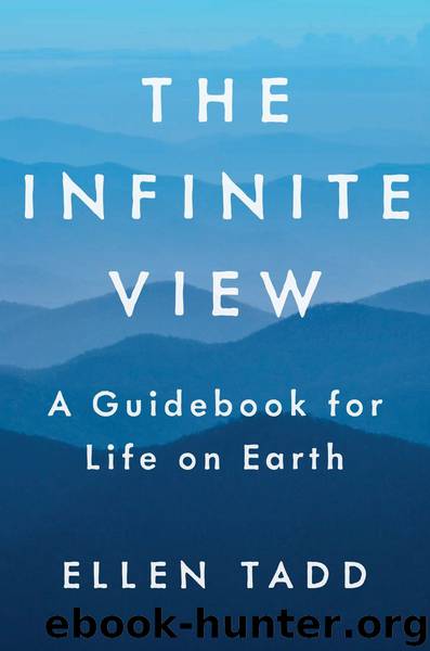 The Infinite View by Ellen Tadd