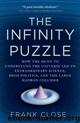 The Infinity Puzzle by Frank Close