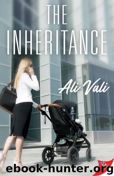 The Inheritance by Ali Vali