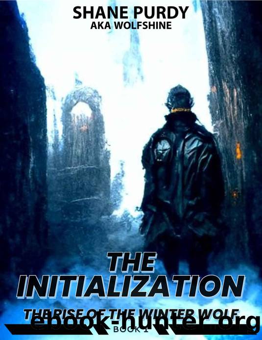 The Initialization: A Livestreamed Dungeon Crawl LitRPG (The Rise of the Winter Wolf Book 1) by Shane Purdy