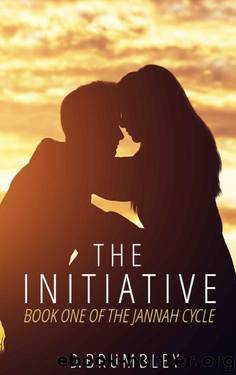 The Initiative by D Brumbley