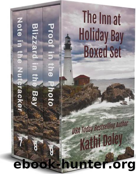 The Inn at Holiday Bay Books 7 - 9 by Kathi Daley