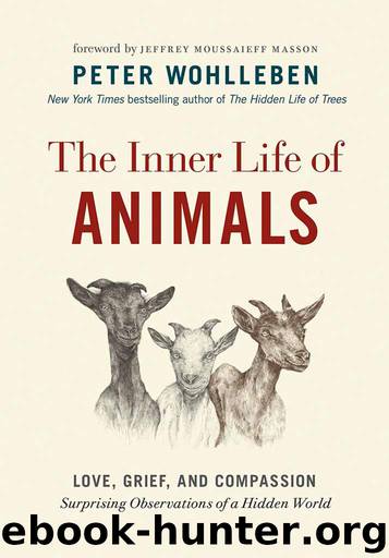 The Inner Life of Animals by Peter Wohlleben