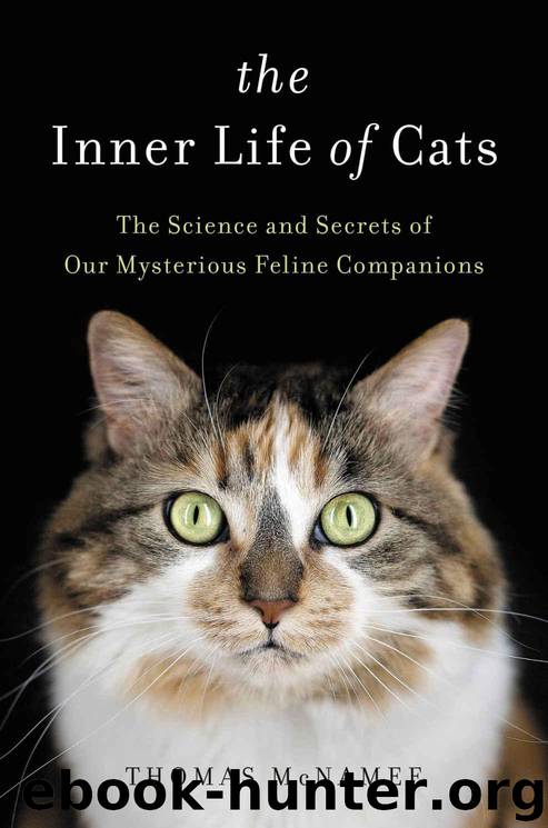 The Inner Life of Cats: The Science and Secrets of Our Mysterious Feline Companions by McNamee Thomas