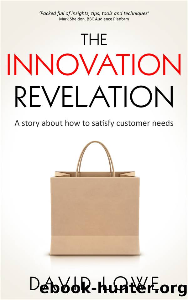 The Innovation Revelation: A story about how to satisfy customer needs by Lowe David