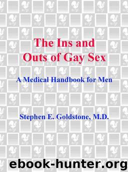 The Ins and Outs of Gay Sex by Stephen E. Goldstone