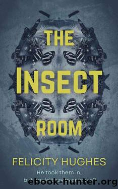 The Insect Room by Felicity Hughes