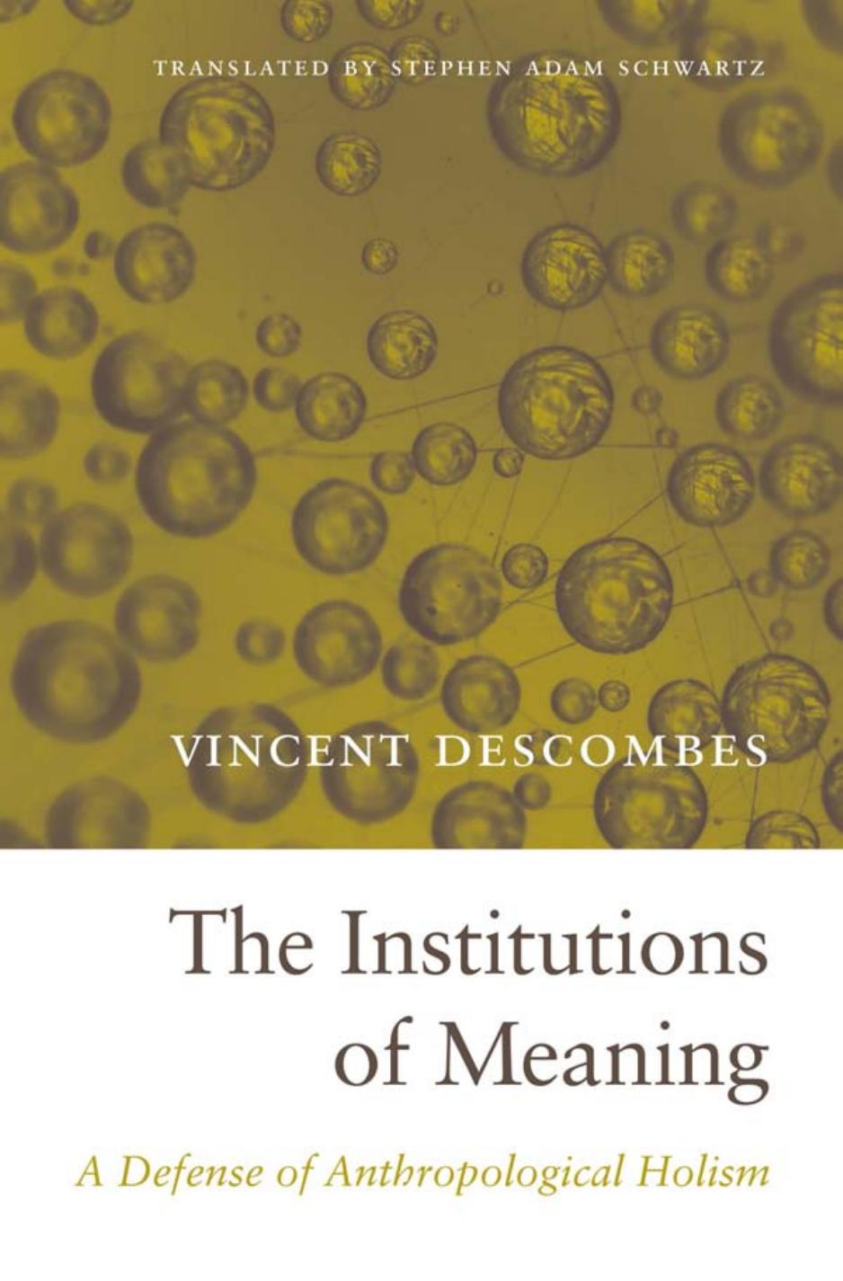 The Institutions of Meaning: A Defense of Anthropological Holism by Vincent Descombes Stephen Adam Schwartz (translator)