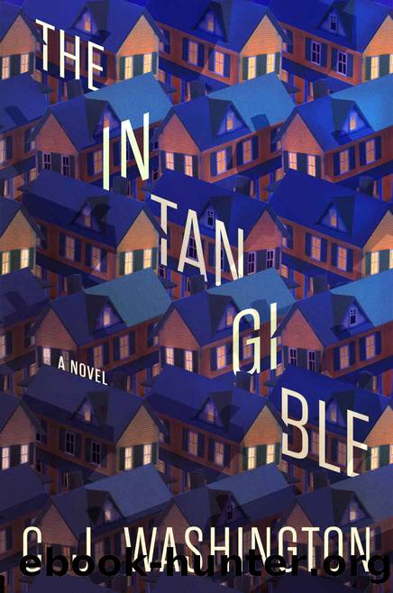 The Intangible by Washington C. J