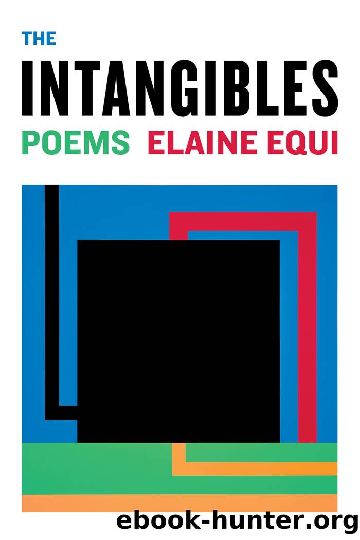 The Intangibles by Elaine Equi