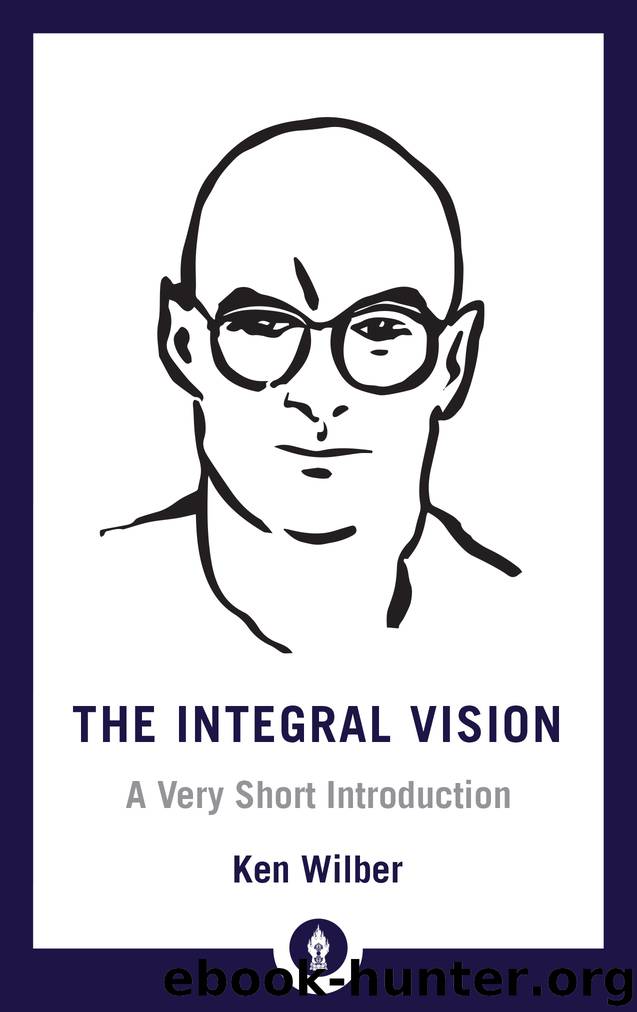 The Integral Vision by Ken Wilber