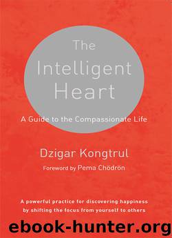 The Intelligent Heart by Dzigar Kongtrul