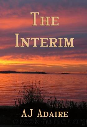 The Interim by A.J. Adaire