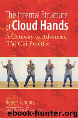 The Internal Structure of Cloud Hands by Robert Tangora