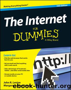 The Internet For Dummies by John R. Levine