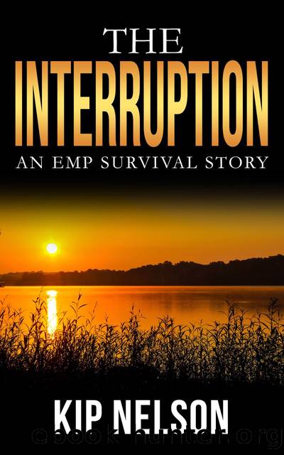 The Interruption by Kip Nelson