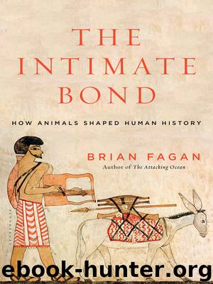 The Intimate Bond by Brian Fagan