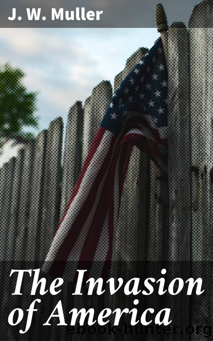 The Invasion of America by J. W. Muller