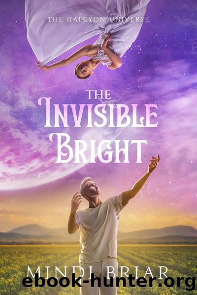 The Invisible Bright by Mindi Briar