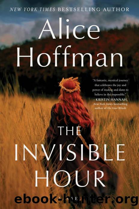 The Invisible Hour: A Novel by Alice Hoffman
