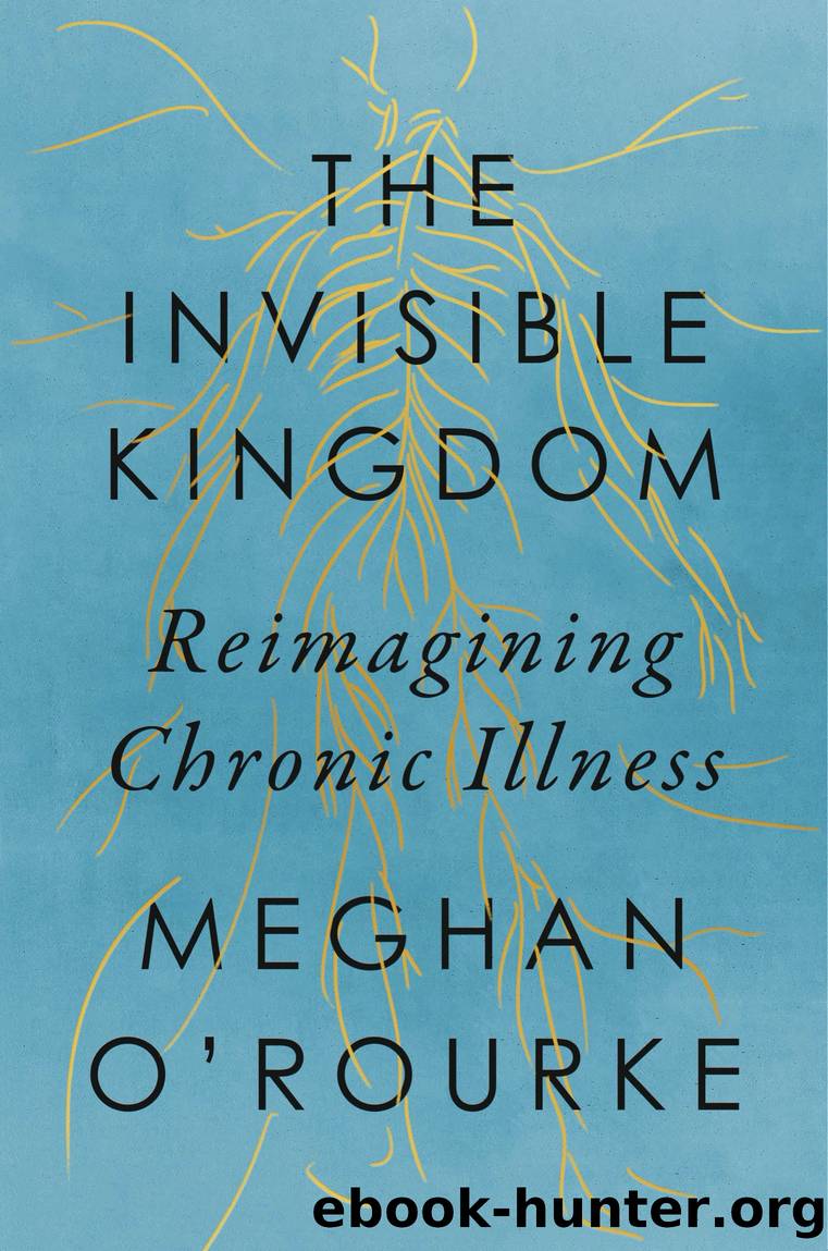 The Invisible Kingdom by Meghan O'Rourke