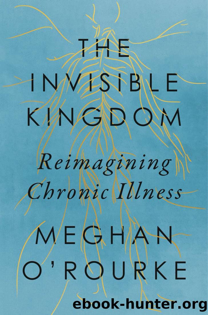 The Invisible Kingdom: Reimagining Chronic Illness by Meghan O'Rourke
