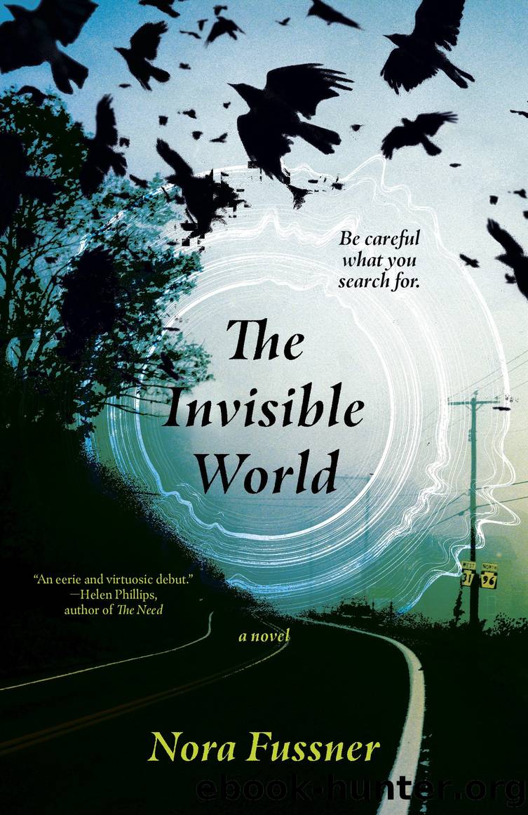 The Invisible World by Nora Fussner
