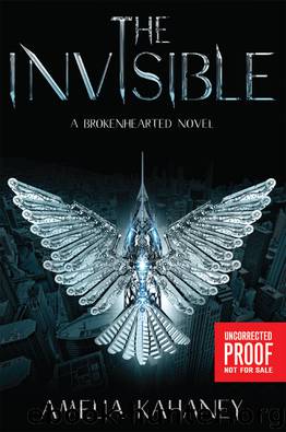 The Invisible by Kahaney Amelia