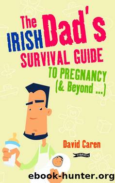 The Irish Dad's Survival Guide to Pregnancy [& Beyond] by David Caren