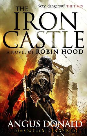 The Iron Castle by Angus Donald