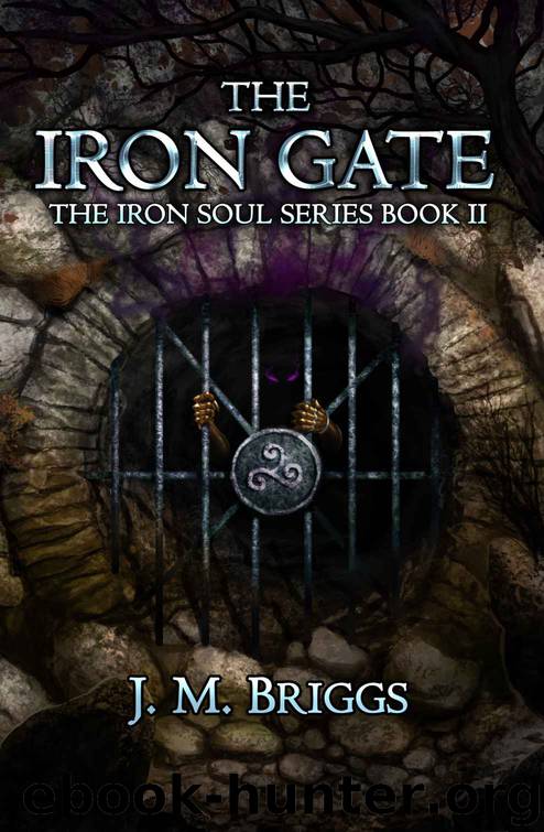 The Iron Gate by J M Briggs