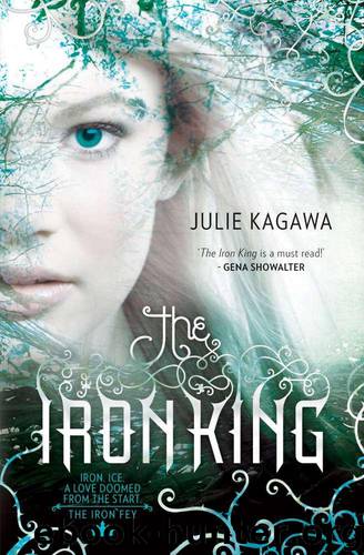 The Iron King (The Iron Fey) by Kagawa Julie
