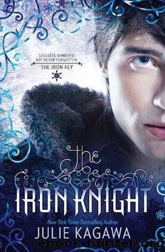 The Iron Knight by Unknown