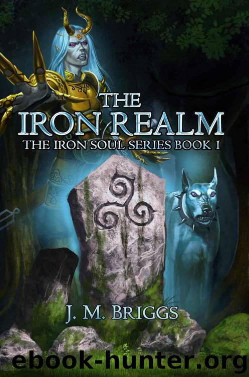 The Iron Realm (The Iron Soul Book 1) by J.M. Briggs