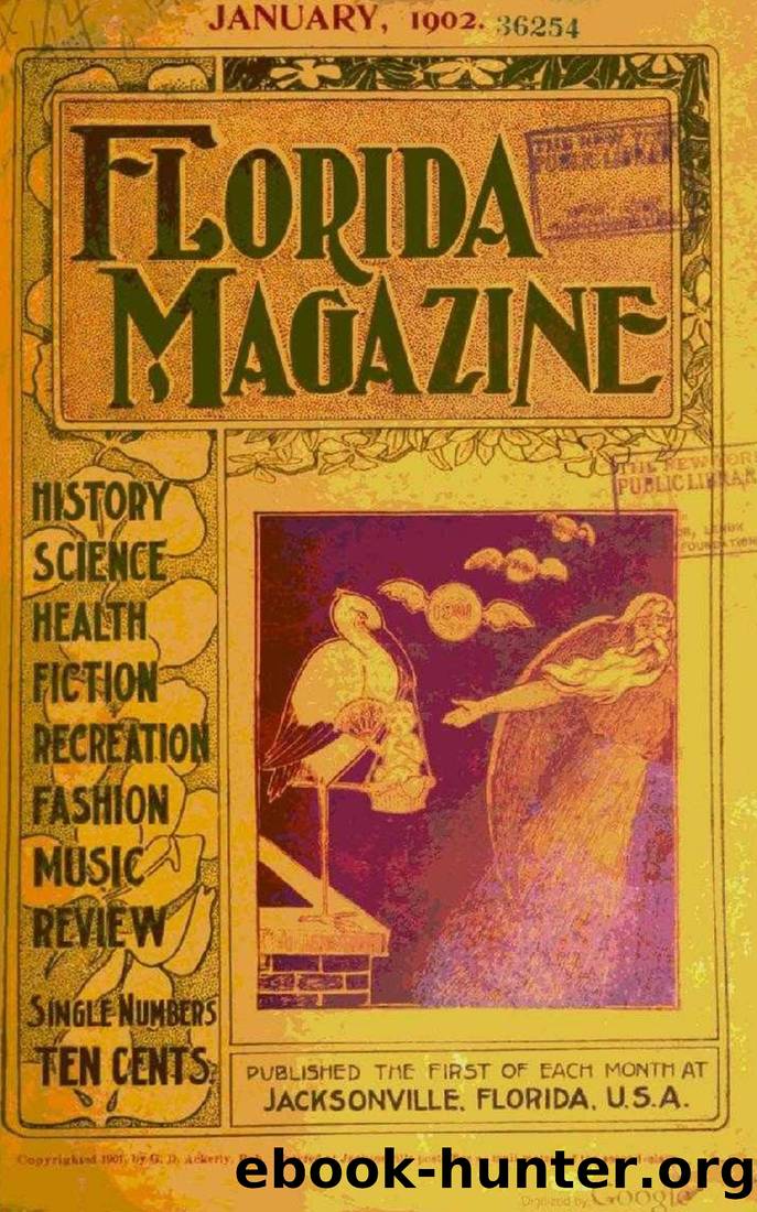The Iron Republic by Richard Jameson Morgan