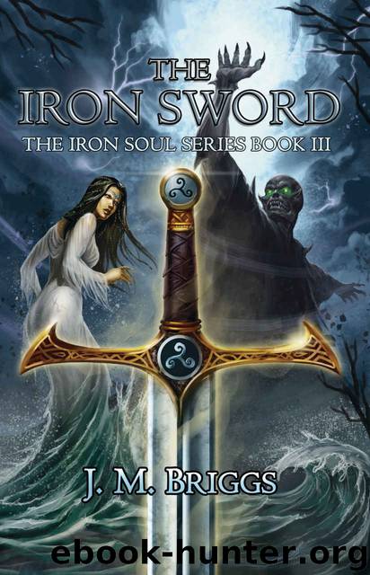 The Iron Sword by J M Briggs