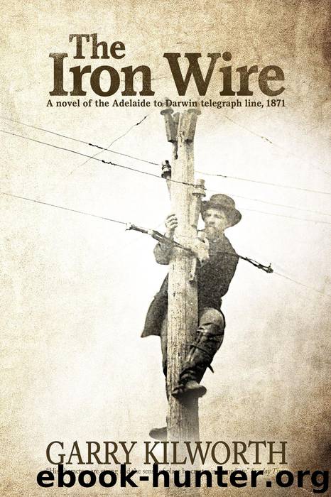 The Iron Wire: A novel of the Adelaide to Darwin telegraph line, 1871 by Garry Kilworth