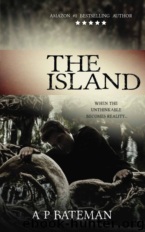 The Island (Rob Stone Book 3) by A P Bateman