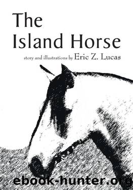The Island Horse by Eric Z. Lucas