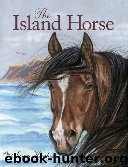 The Island Horse by Susan Hughes