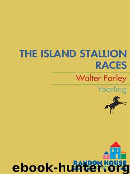 The Island Stallion Races by Walter Farley