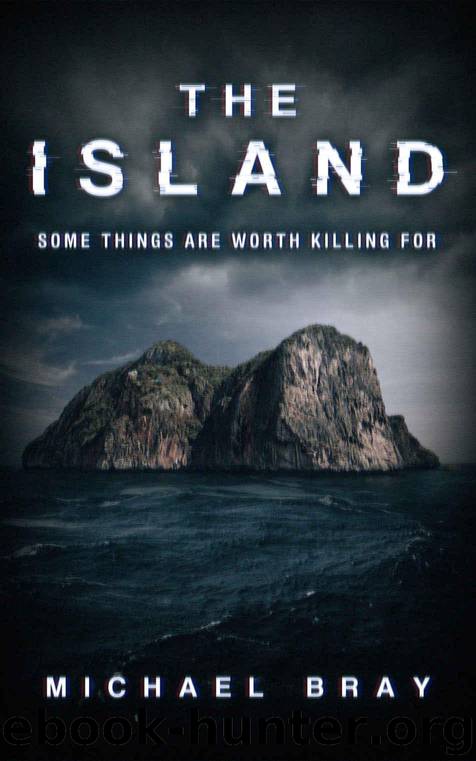 The Island by Bray Michael