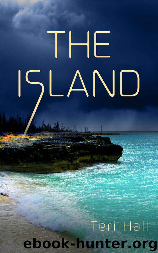 The Island by Hall Teri