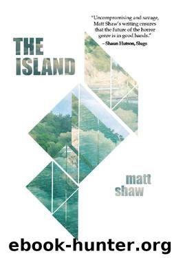 The Island_A Psychological Horror by Matt Shaw